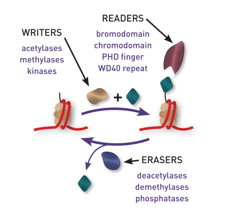 tools for disease research CityLab CityLab